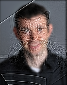 dy